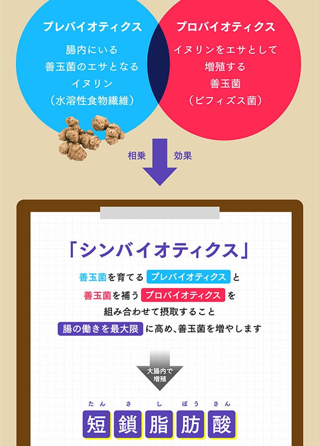 【家計応援価格】菊芋サプリ まとめ買い3袋セット イヌリン 機能性表示食品 菊芋の極み 国産 プレバイオティクス