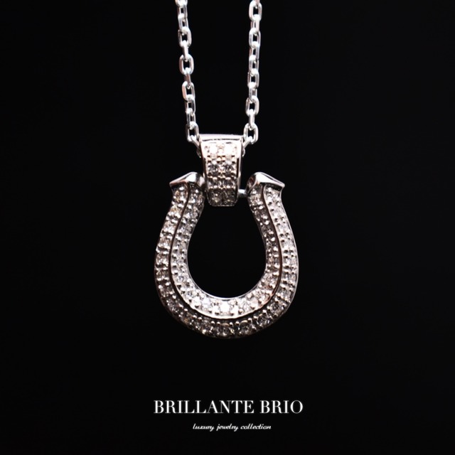 2Line  Stone Horseshoe  Necklace/Silver