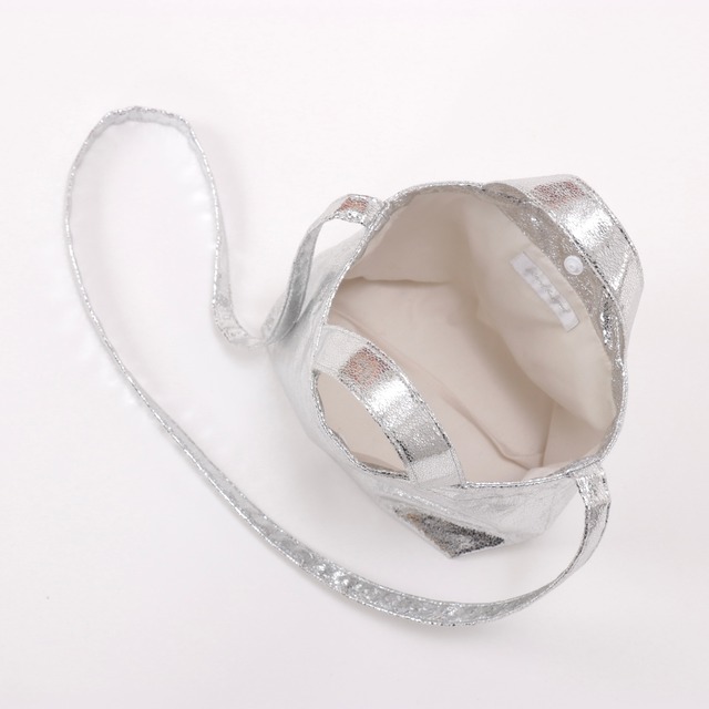 Daily Bag / summer silver