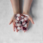 明石だこ（ブツ切り・150g）