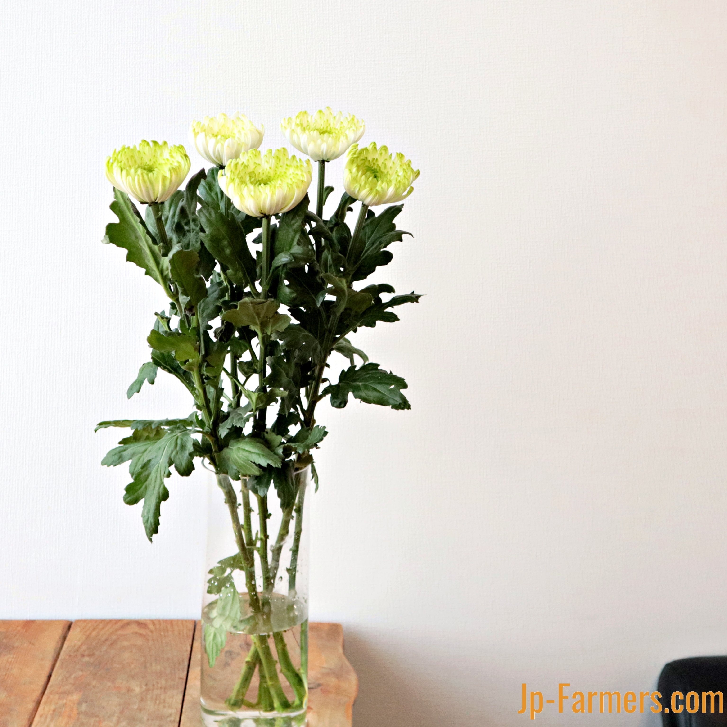 K151 MUSUBI 青木むすび フラワーベース・ソーサー ボディーフラワー