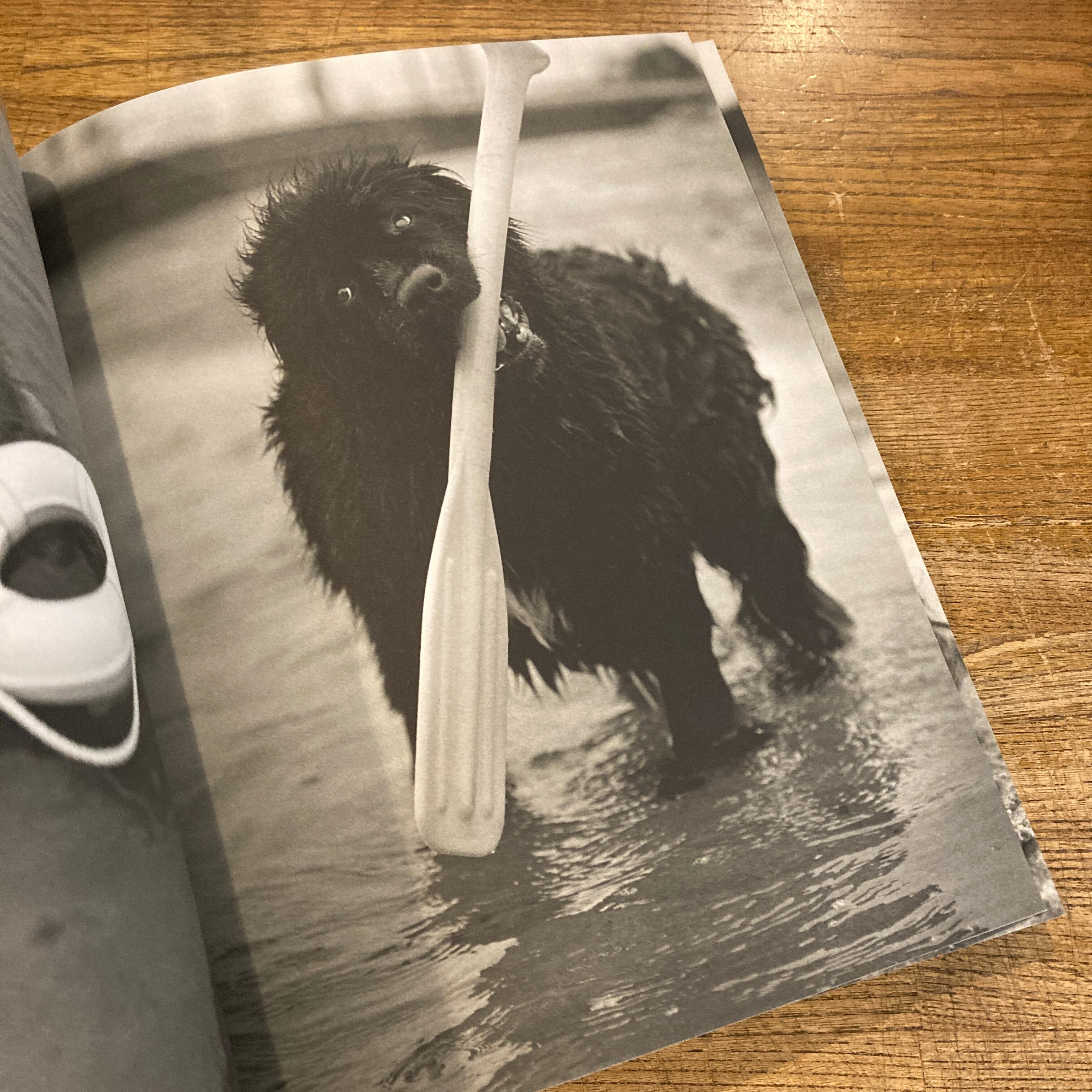 Gentle Giants: A Book of Newfoundlands / Bruce Weber | 百年