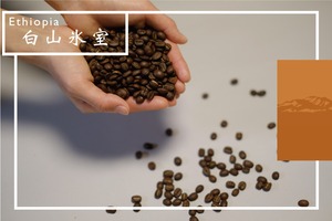 白山氷室　コーヒー豆　（エチオピアモカシダモ）　