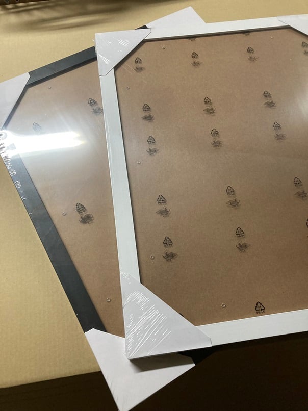 シャイニング THE SHINING ポスター 61cm x 91.5cm POSER5331
