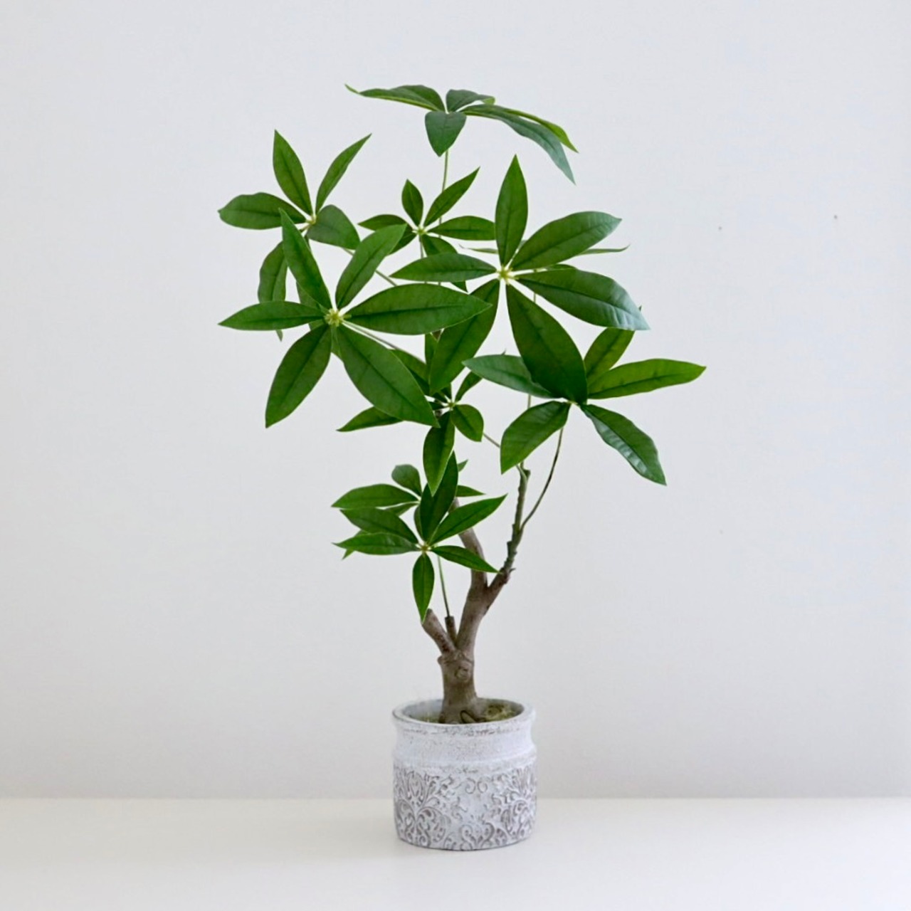 パキラ フェイクグリーン 造花  鉢植え  インテリア 約H60cm
