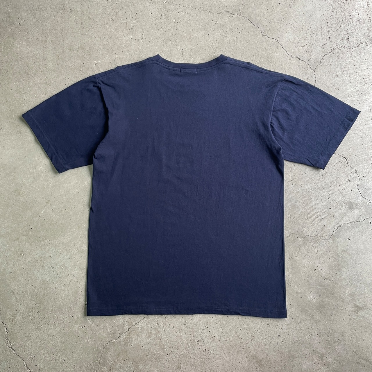 PRINCESS CRUISES SKAGWAY アラスカ クルーズ プリントTシャツ メンズL 