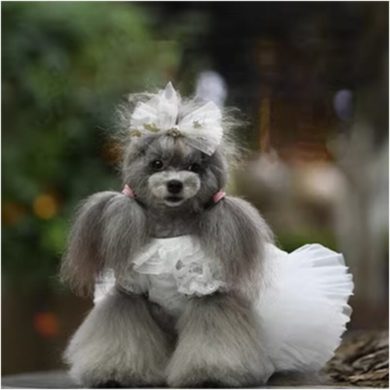 キャット 猫 ドッグ 犬 中型犬 小型犬 フレブル チワワ パグ ヨークシャテリア Mダックス ヨークシャー ドッグウェア 室内着 ドレス ワンピース フリルワンピース フレア セミフレア タイト スリム 細身 ストレート 切り替え フォーマル レース チュール かわいい きれいめ シンプル 上品 レトロ アジアン 個性的 クール モード系 エレガント モダン 主役級 存在感 かっちり ラブリー キュート ロリータ プリンセス ラグジュアリー ガーリー 春 夏 秋 冬 誕生日 結婚式 発表会 パーティー