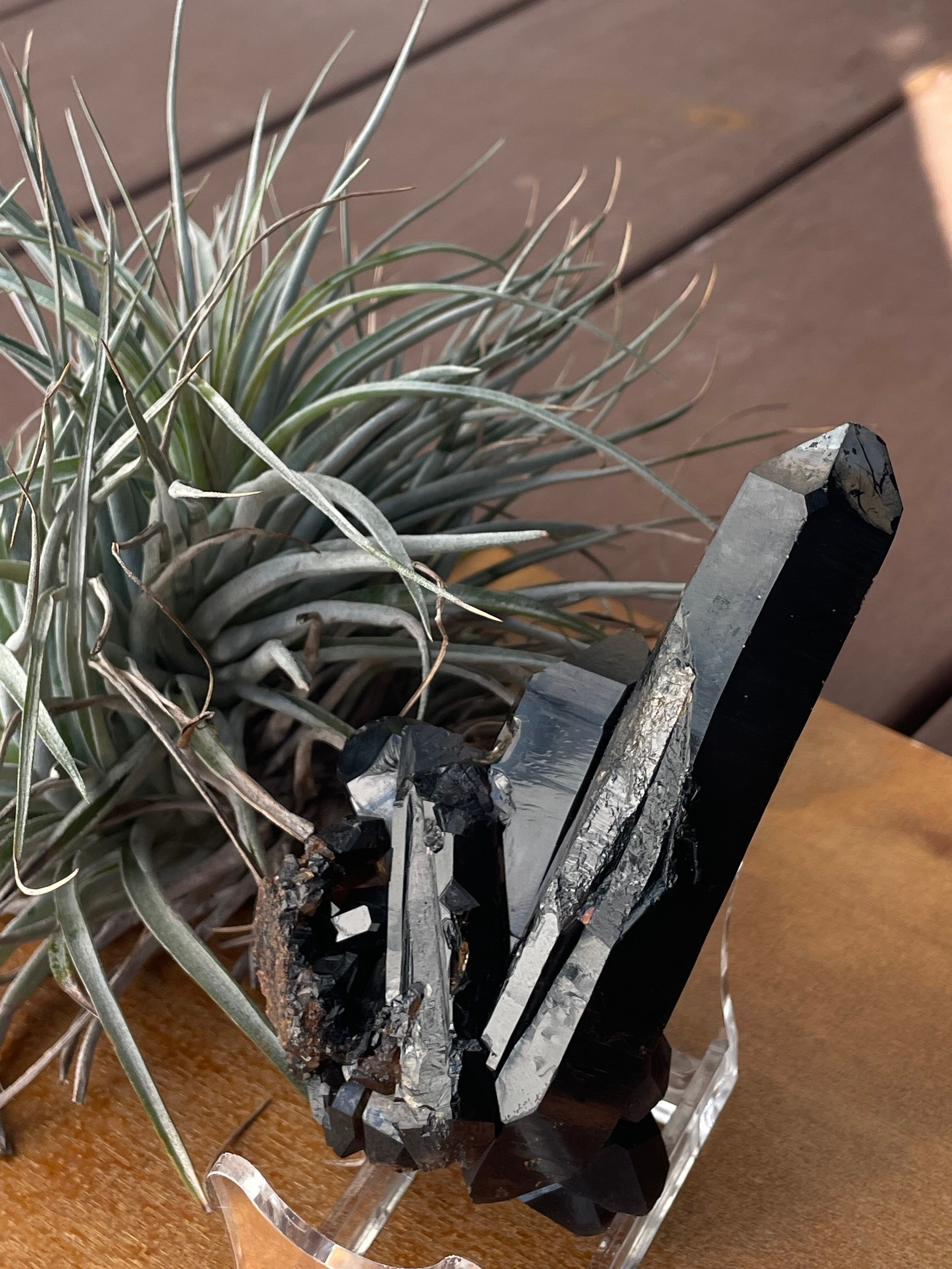 Pino ふれっしゅじぇむ