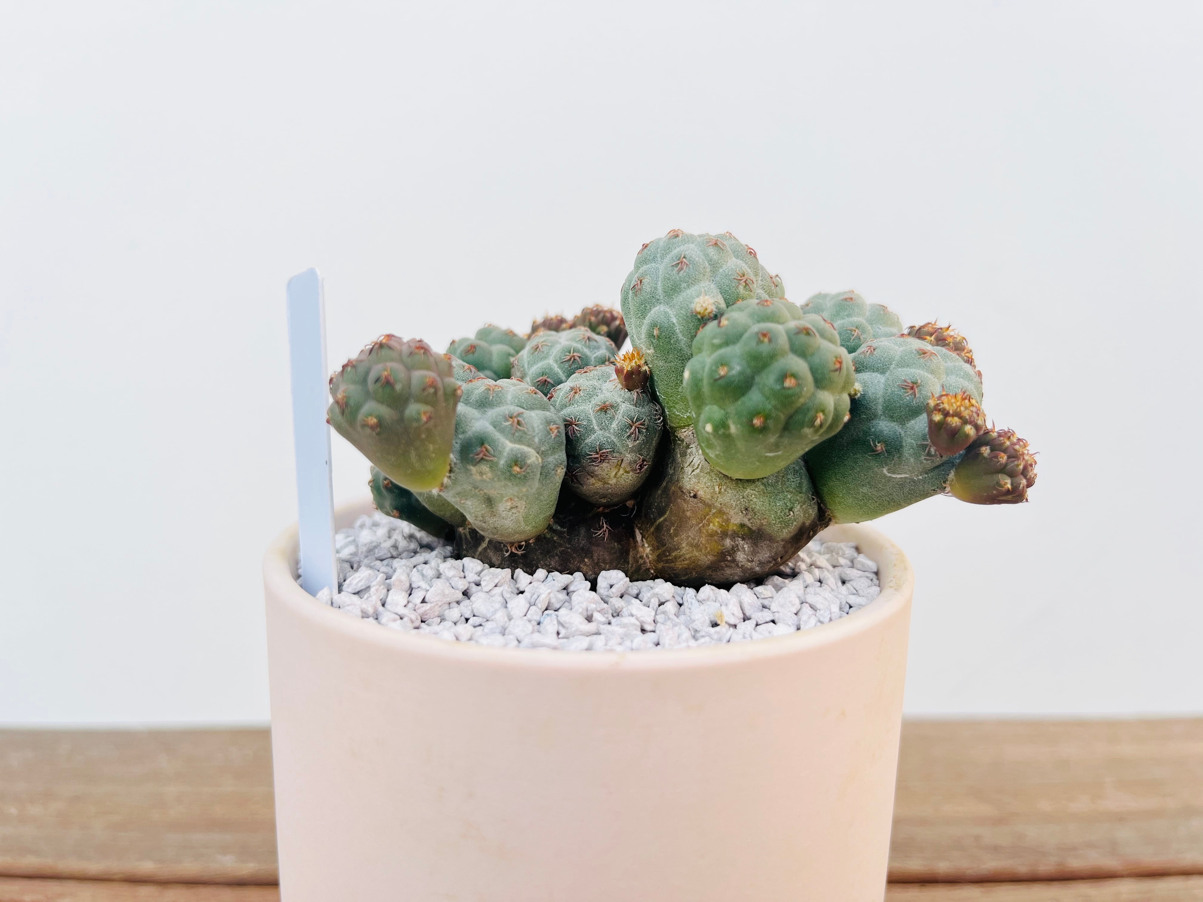 e0224e730eda9b8834568c2b04e75d