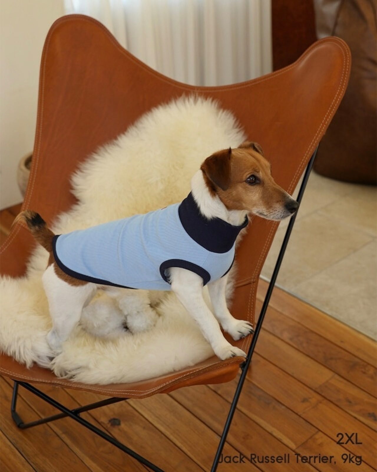 【即納】GOPE Dog Sleeveless Turtleneck｜Navy × Sky Blue - 7