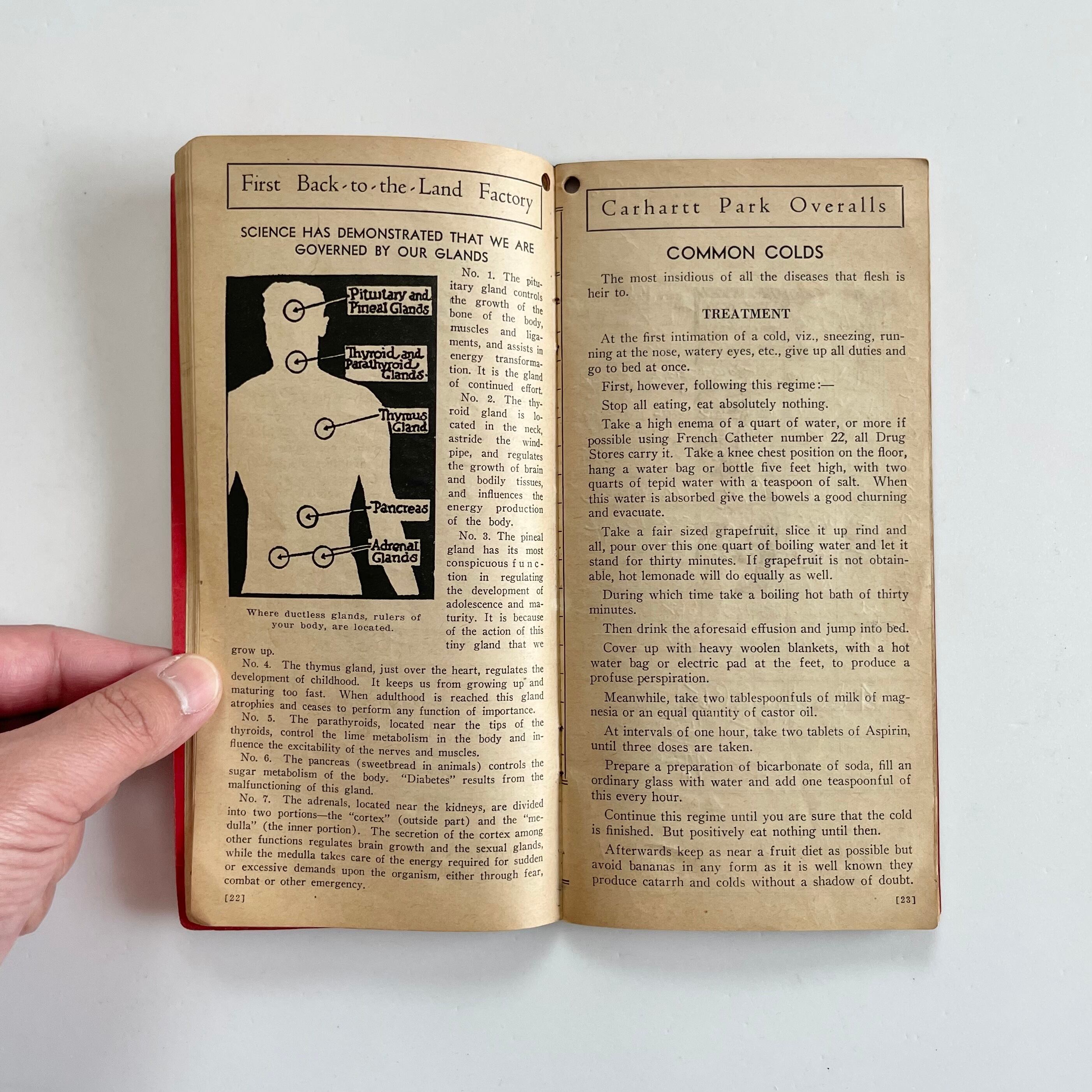 1935-36】 Carhartt 'Time Book' | swallows