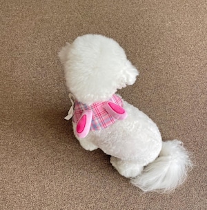 即納【hugmemore】mimi cape pink