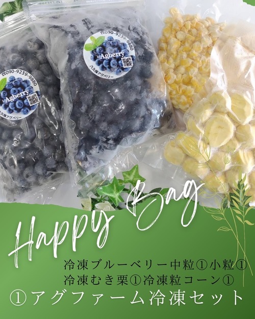 ①Happy bag 【冷凍】ブルーベリー2袋　剥き栗1袋　粒スイートコーン1袋 画像