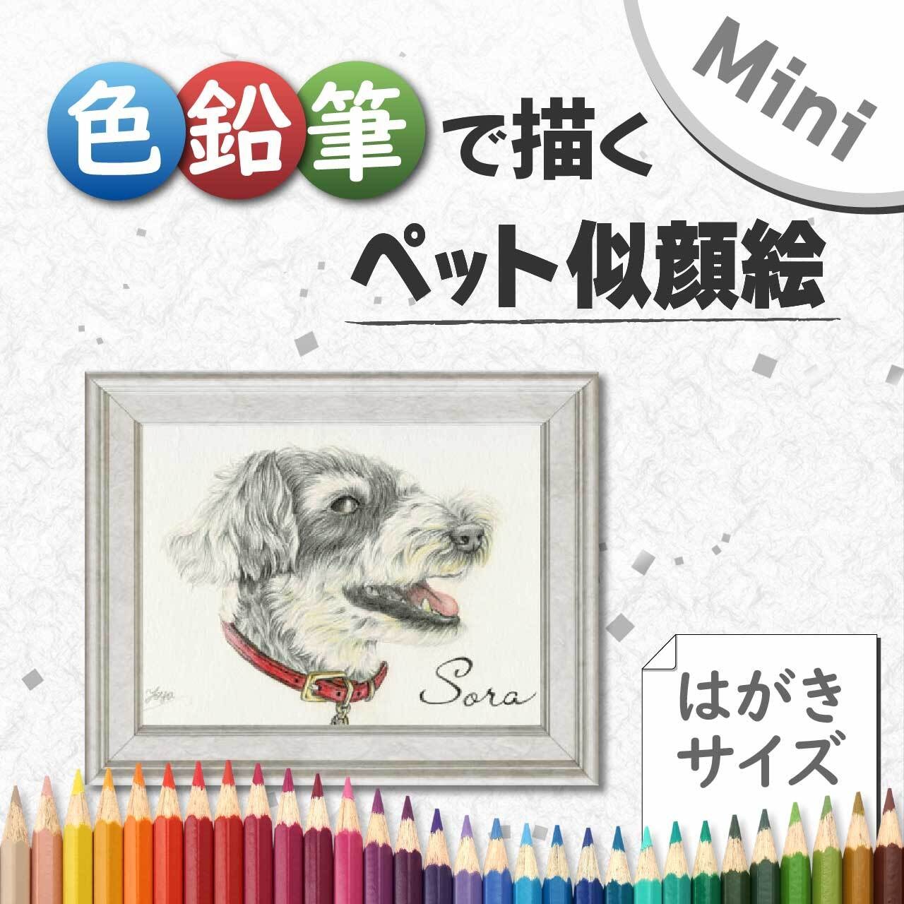 色鉛筆で描くペット似顔絵《Mini ハガキサイズ》