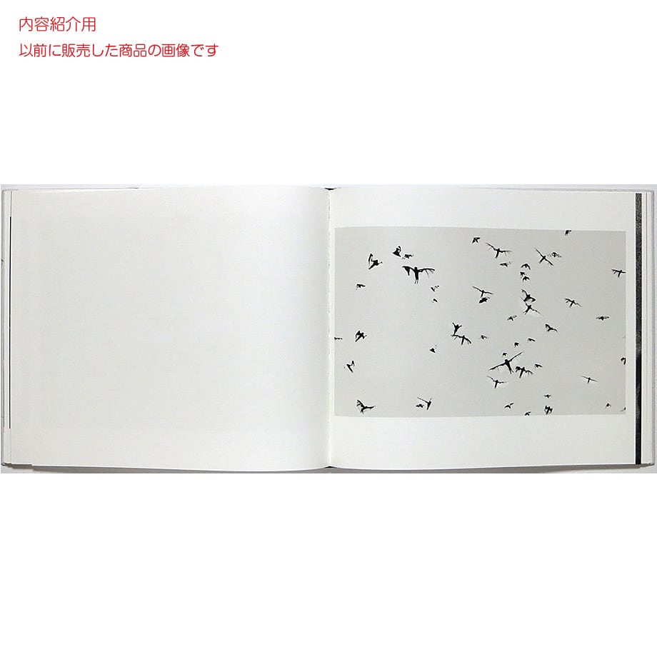 Trent Parke: Minutes to Midnight トレント・パーク：ミニッツ・トゥ