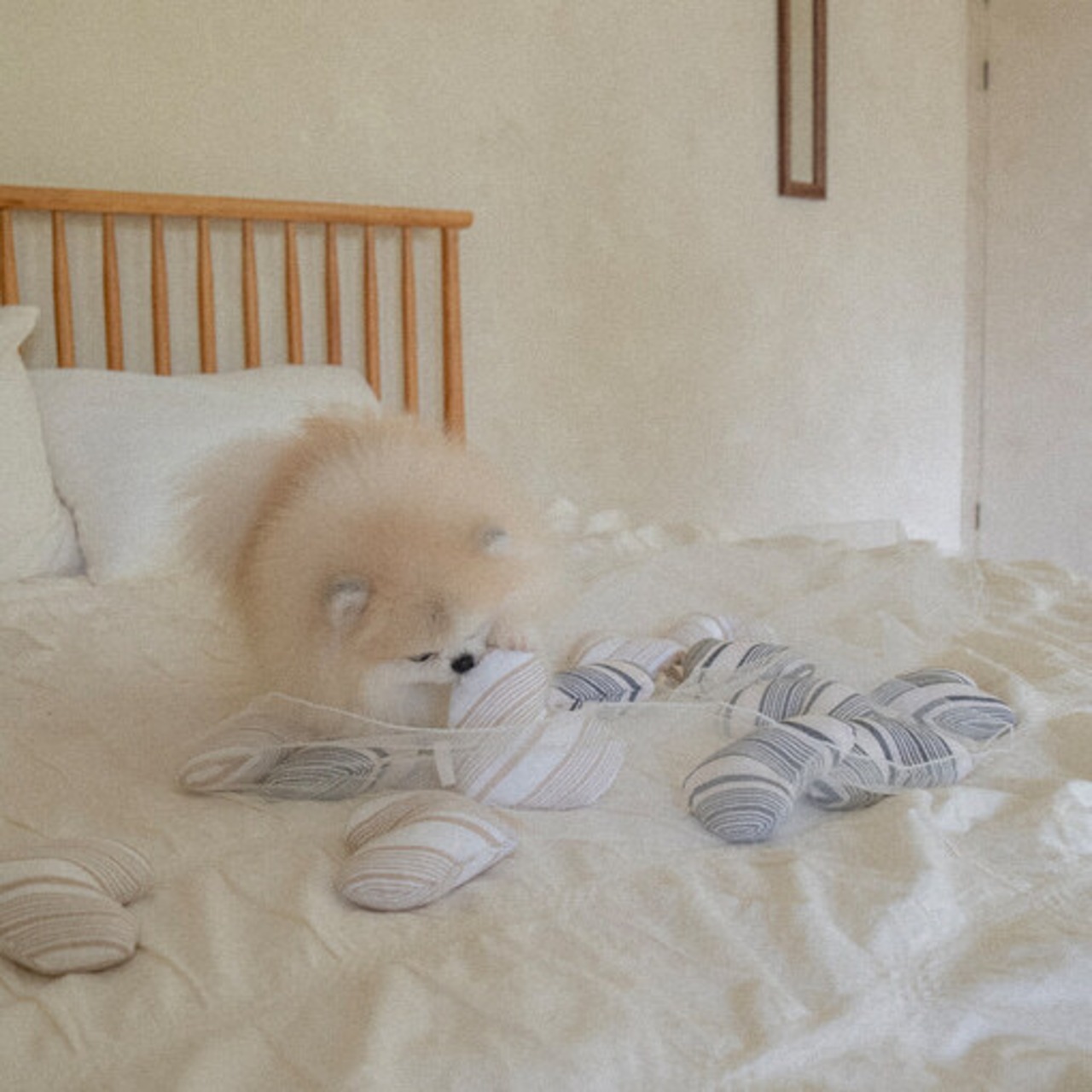 予約 【pecoramou select】Love Love Puppy Toy