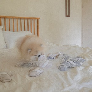 予約 【pecoramou select】Love Love Puppy Toy