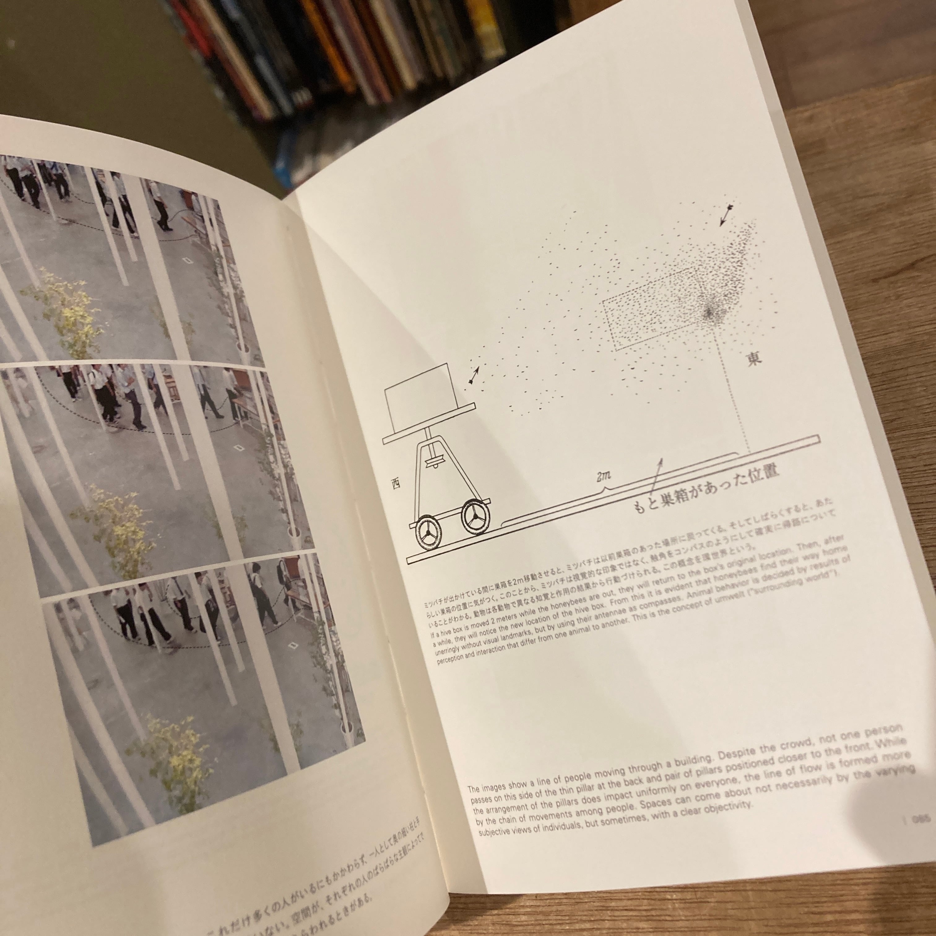 石上純也　建築の新しい大きさ 新版 建築のあたらしい大きさ / 石上純也 | 百年