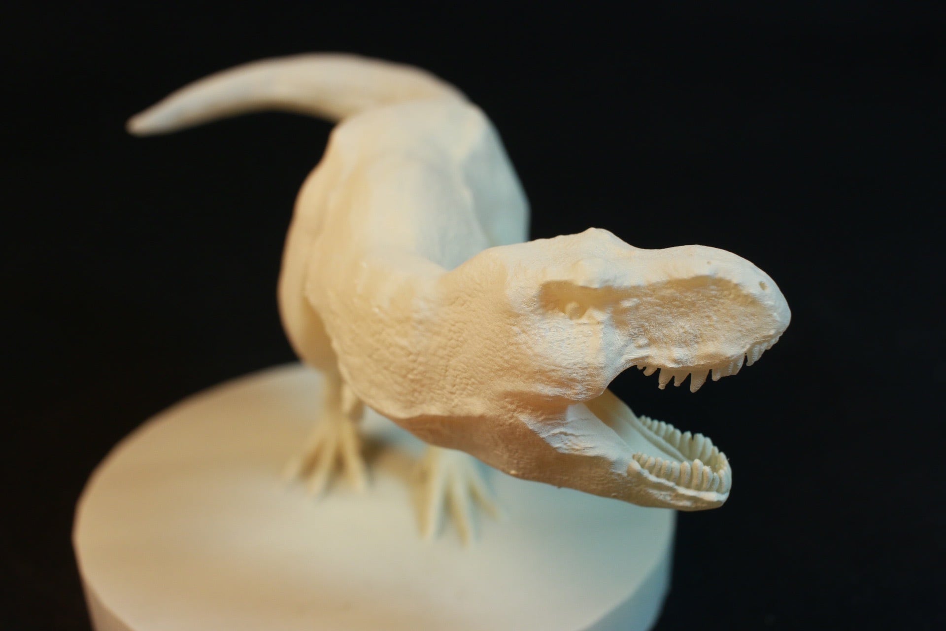 着色無し】ティラノサウルス・レックス 復元模型 約11㎝ | アンフィ