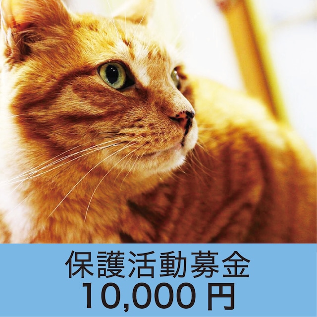 保護活動募金　10000円