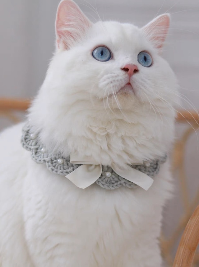 ニットパールリボンチョーカー 猫 首輪 付け襟
