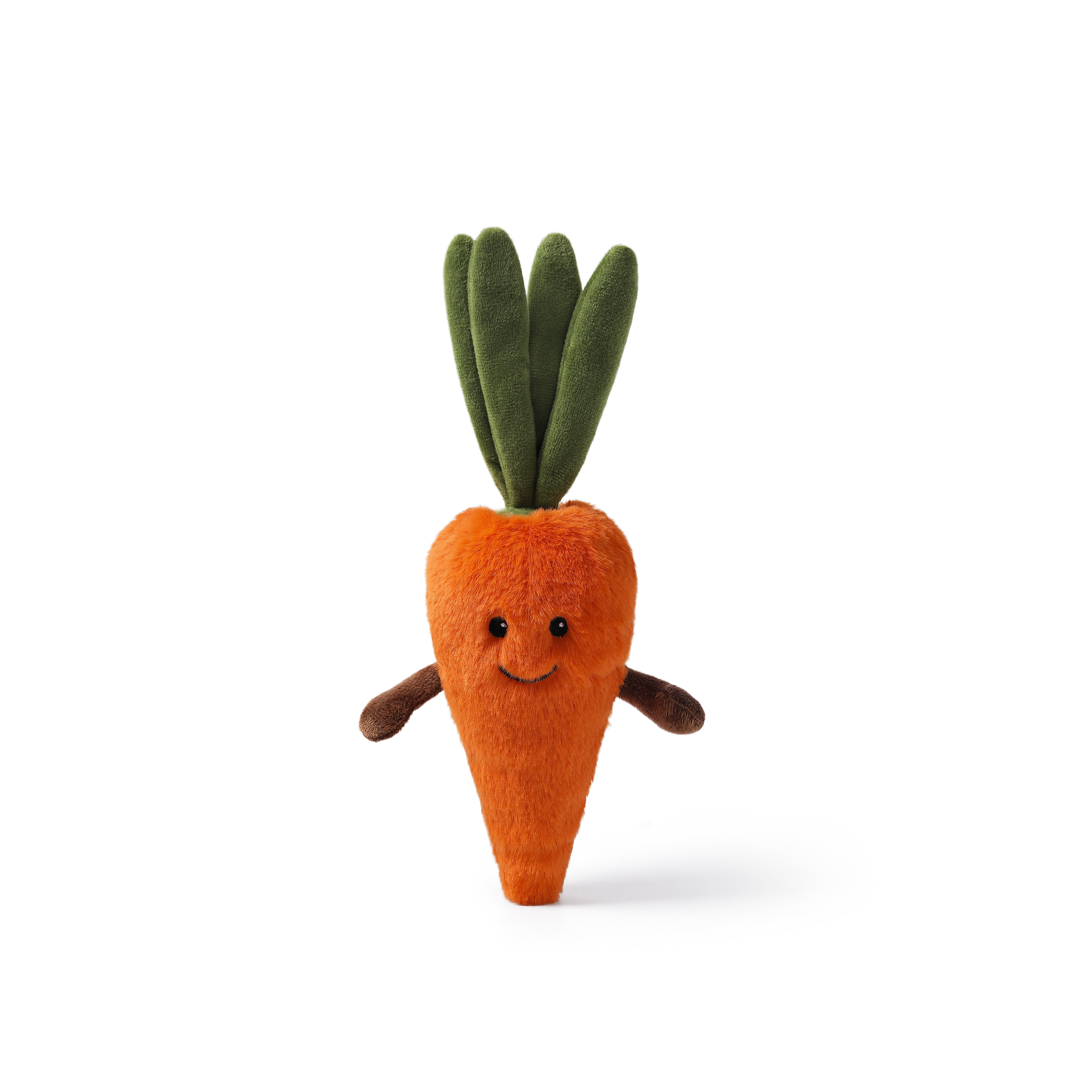 Wise Carrot_MC400188