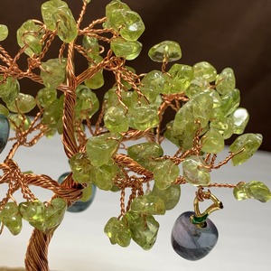 1.りんごがなる招財樹・ペリドット