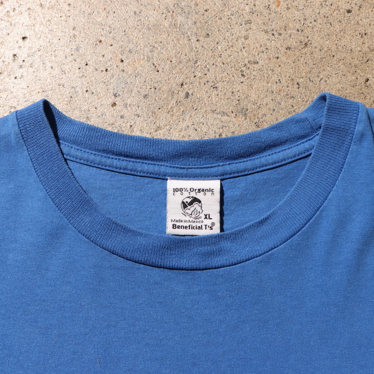 極美品 XL ロイヤルブルー オーバルロゴ Patagonia Beneficial T's ベネフィシャル Tシャツ 青 パタゴニア