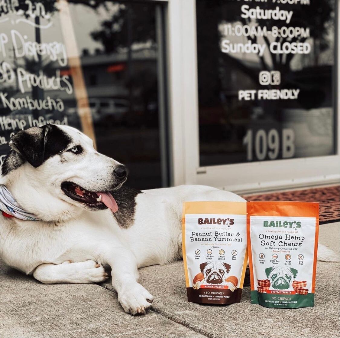 小型犬セット おやつdeサプリ そふとちゅ ピーナッツバター バナナ味 5個入 肉球クリーム Baileyscbd