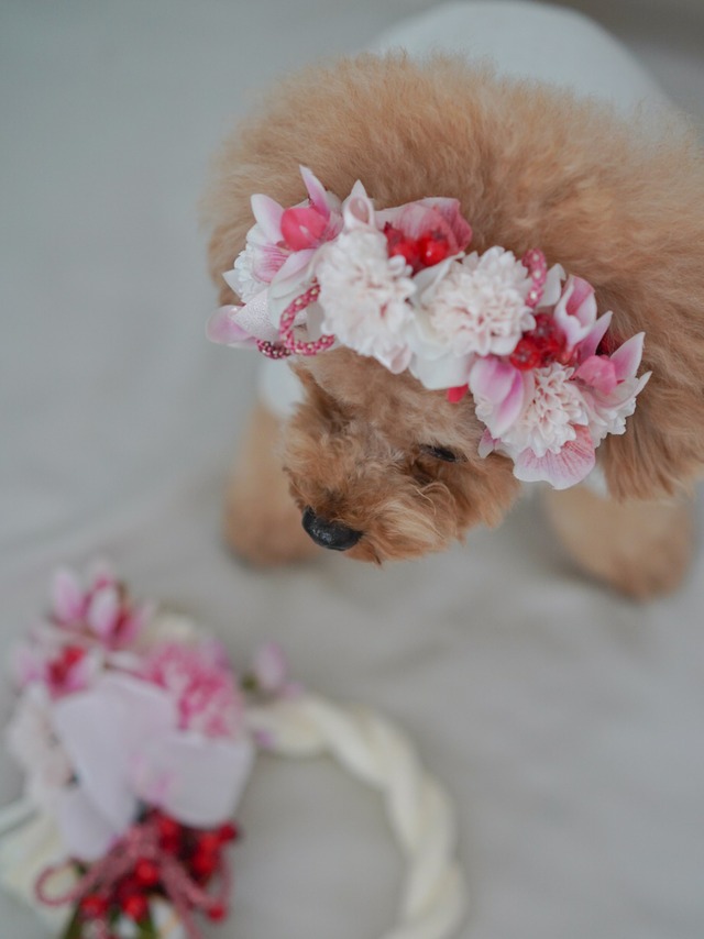 〈予約アイテム〉Drops flower item flora crown & しめ縄 - Pink (セット販売)