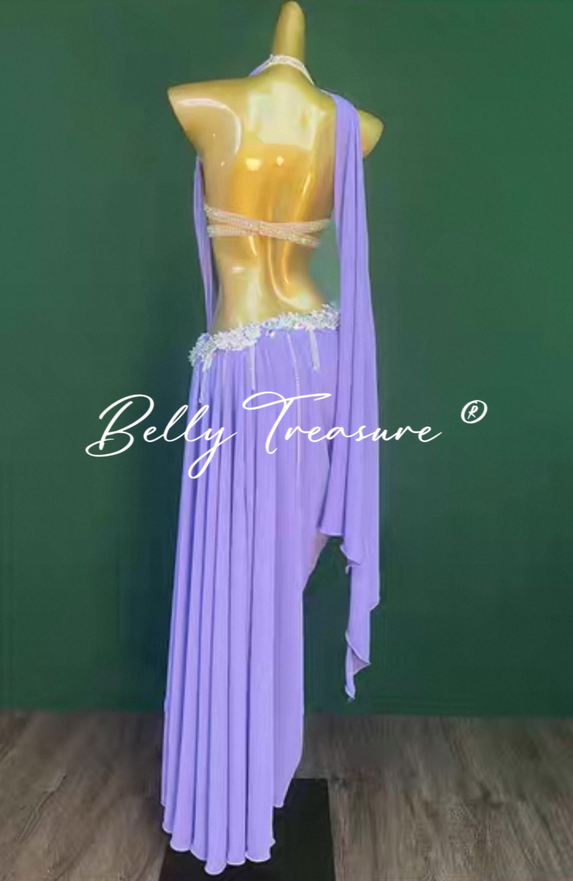 ベリーダンス衣装 WZY 182 202507 | Belly Treasure®︎