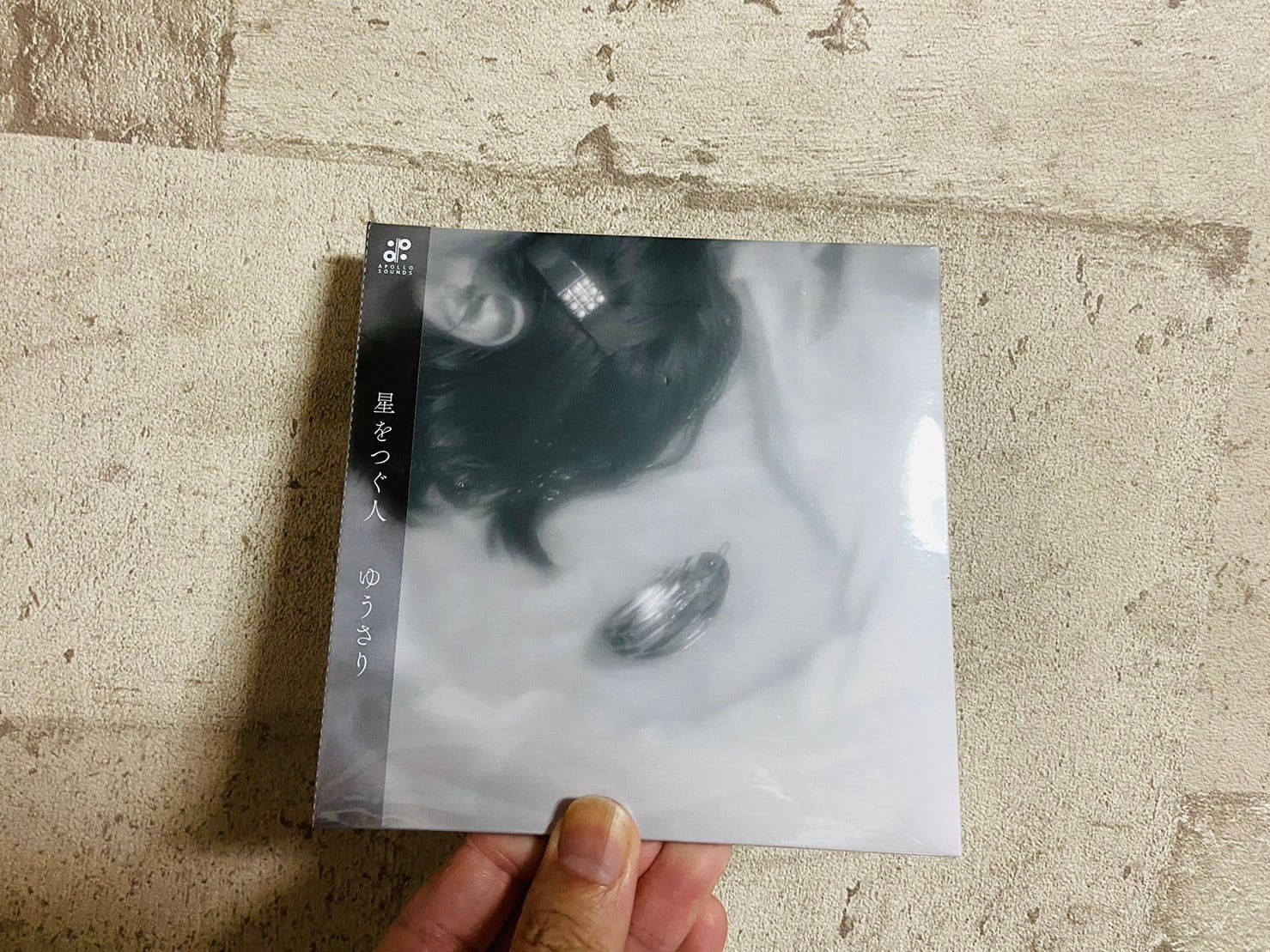 踊ってばかりの国 / On the shore | HOLIDAY! RECORDS DISTRO