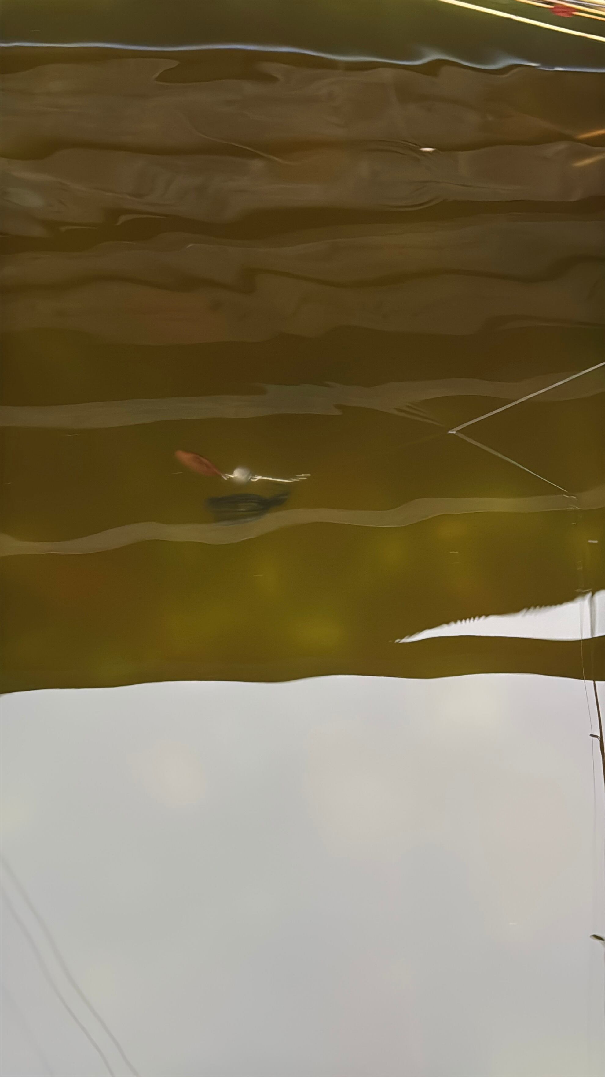 スピナーベイト用の黒檀ブレード