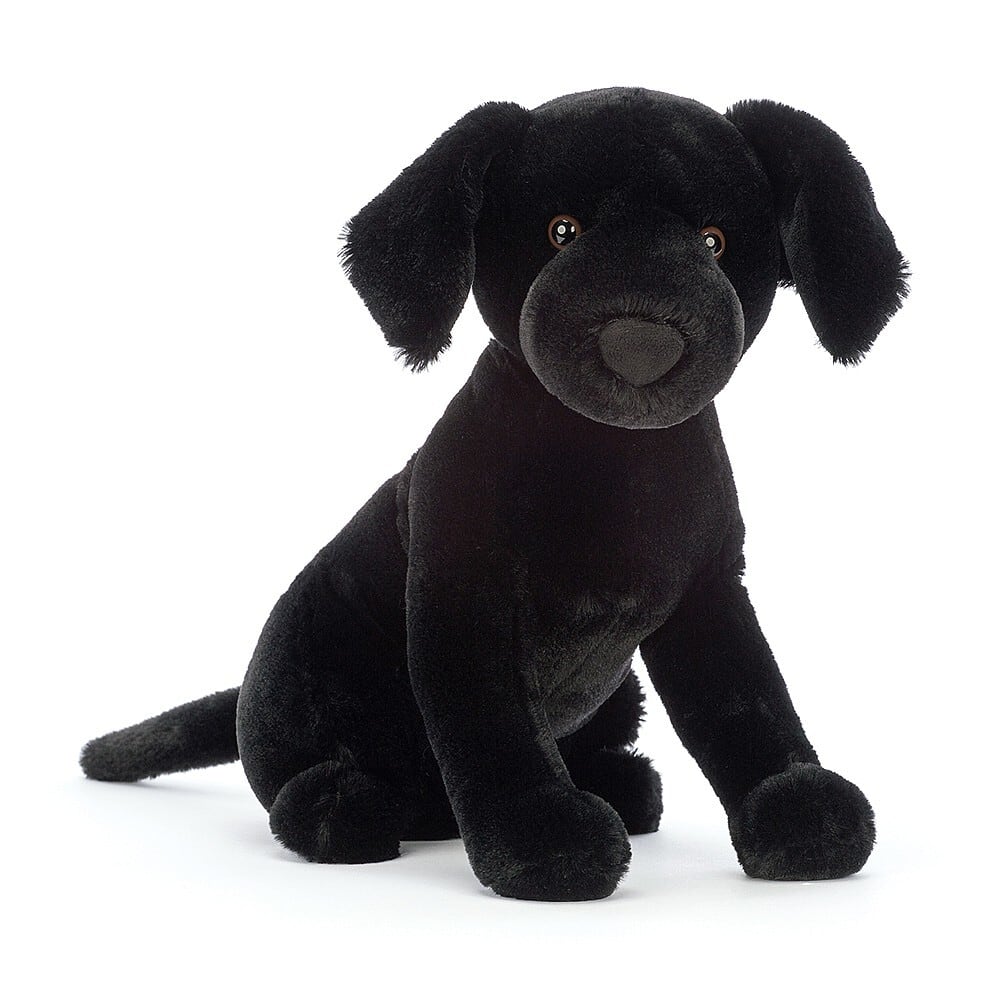 Pippa Black Labrador_PIP3BL