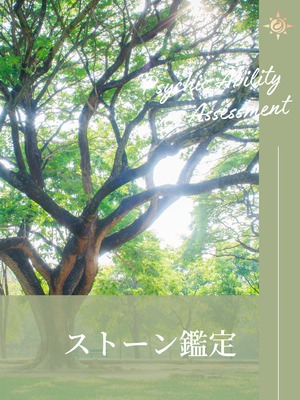 霊視・透視・予知セッション|ストーン鑑定(文章でお届け/天然石1点)