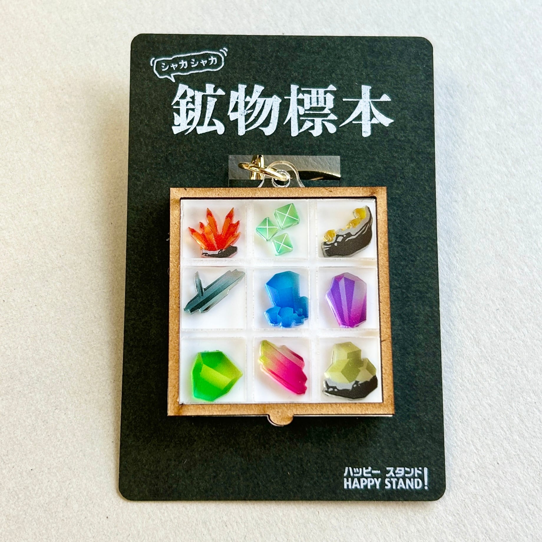 おまかせ隕石 ヴァカムエルタ 隕石標本 キーホルダー 鉱物標本】シャカシャカキーホルダー | happystand