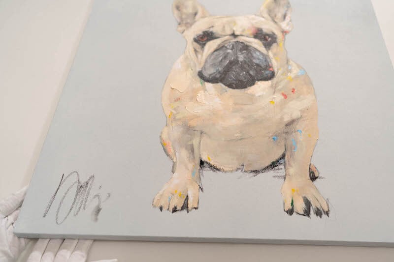 French bulldog / フレンチブルドック / 犬の現代アート作品 絵画販売