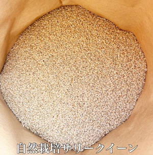 1kg 自然栽培玄米　サリークイーン　　岡山市　HiKARi AGRi