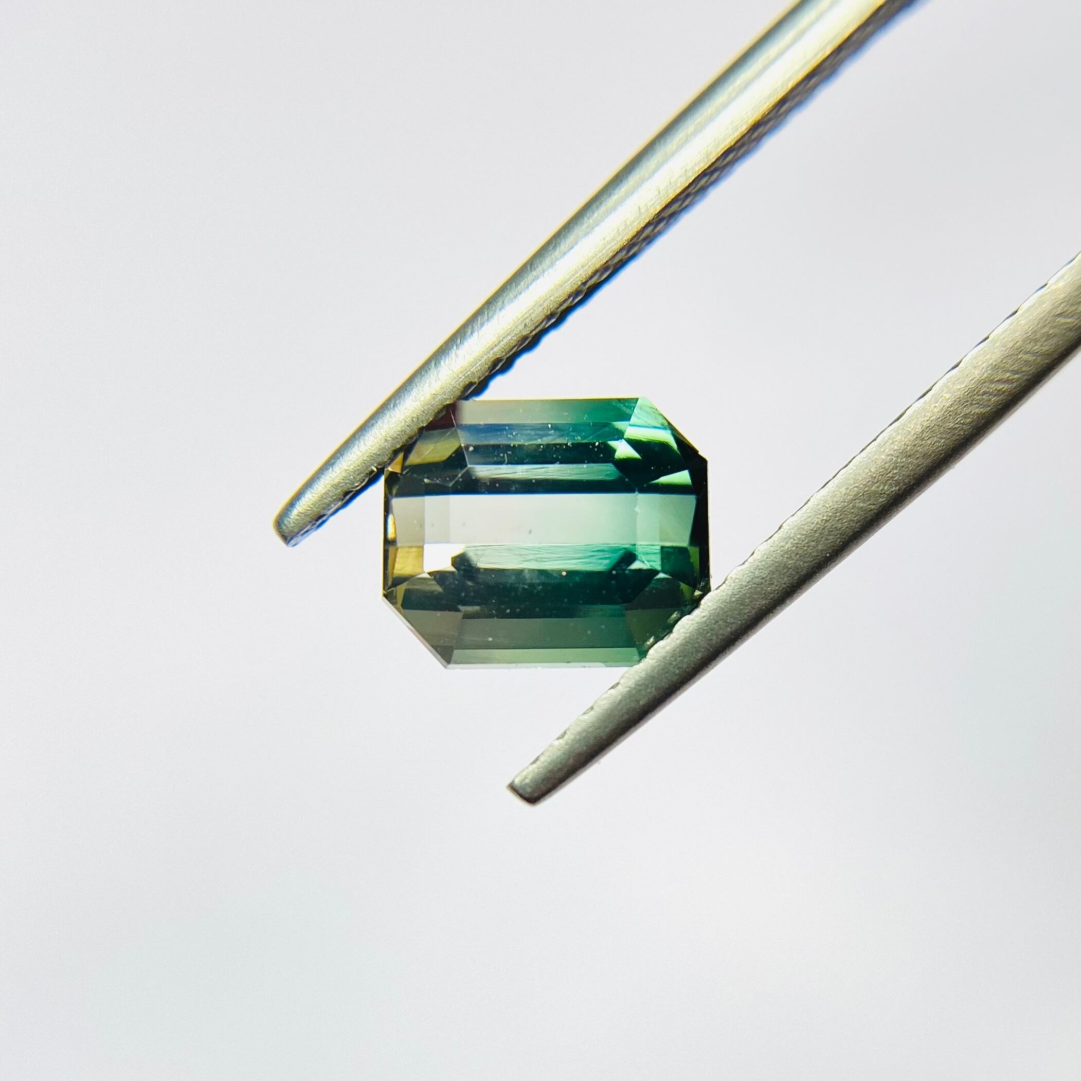 ヨーロッパの森、癒しのバイカラートルマリン