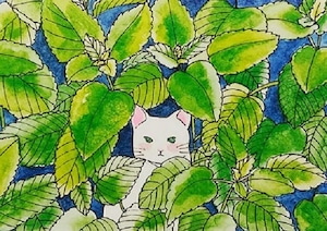 【China】tei-088　A4四角 レモンバームと猫　塚本禎子のダイヤモンドアート