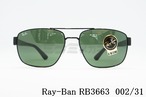 Ray-Ban サングラス RB3663 002/31 60サイズ ツーブリッジ ウェリントン レイバン 正規品