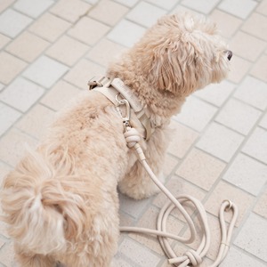 Pups&Bubs  Rover Harness Mサイズ〖 即納 〗