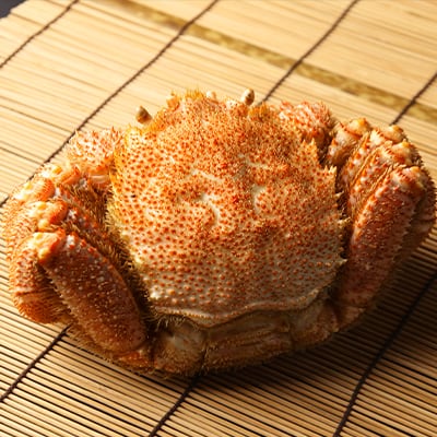 白老・前浜産 毛かに(大・約400~450g)