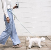 [即納] [STROLL] Multi leash - Sub　Lilac  2.3