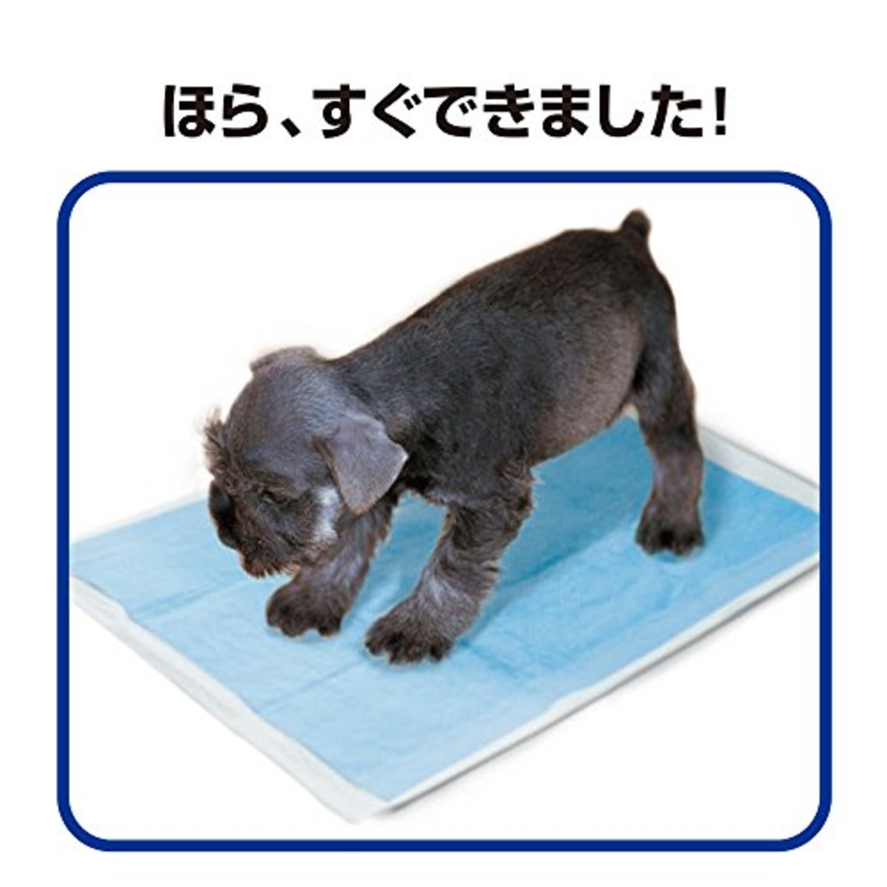 トーラス 愛犬愛猫用おマル上手 100ml 2260590
