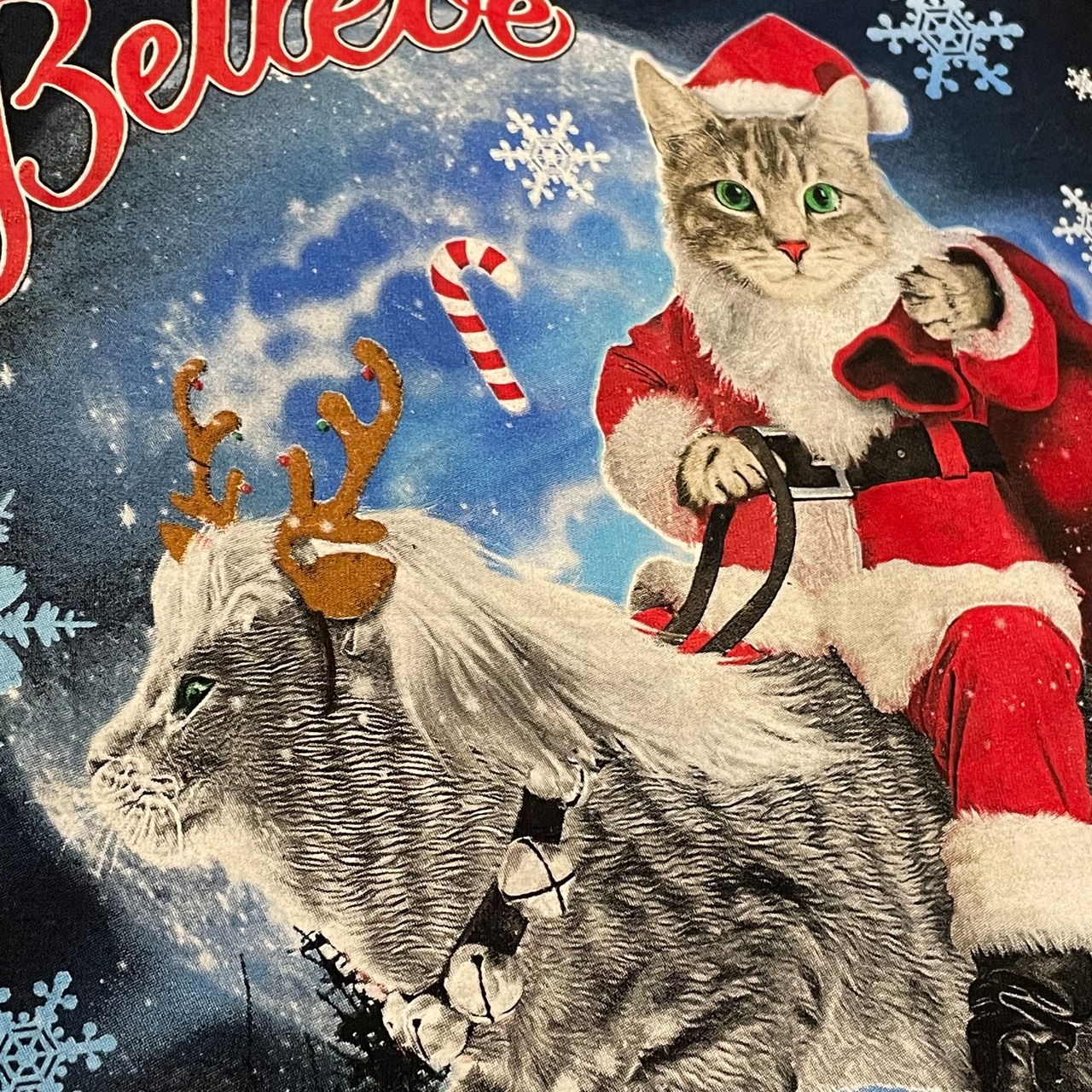 【FRUIT OF THE LOOM】猫 サンタ トナカイ アニマルプリント Tシャツ クリスマス  2XL ビッグサイズ オーバーサイズ us古着 アメリカ古着