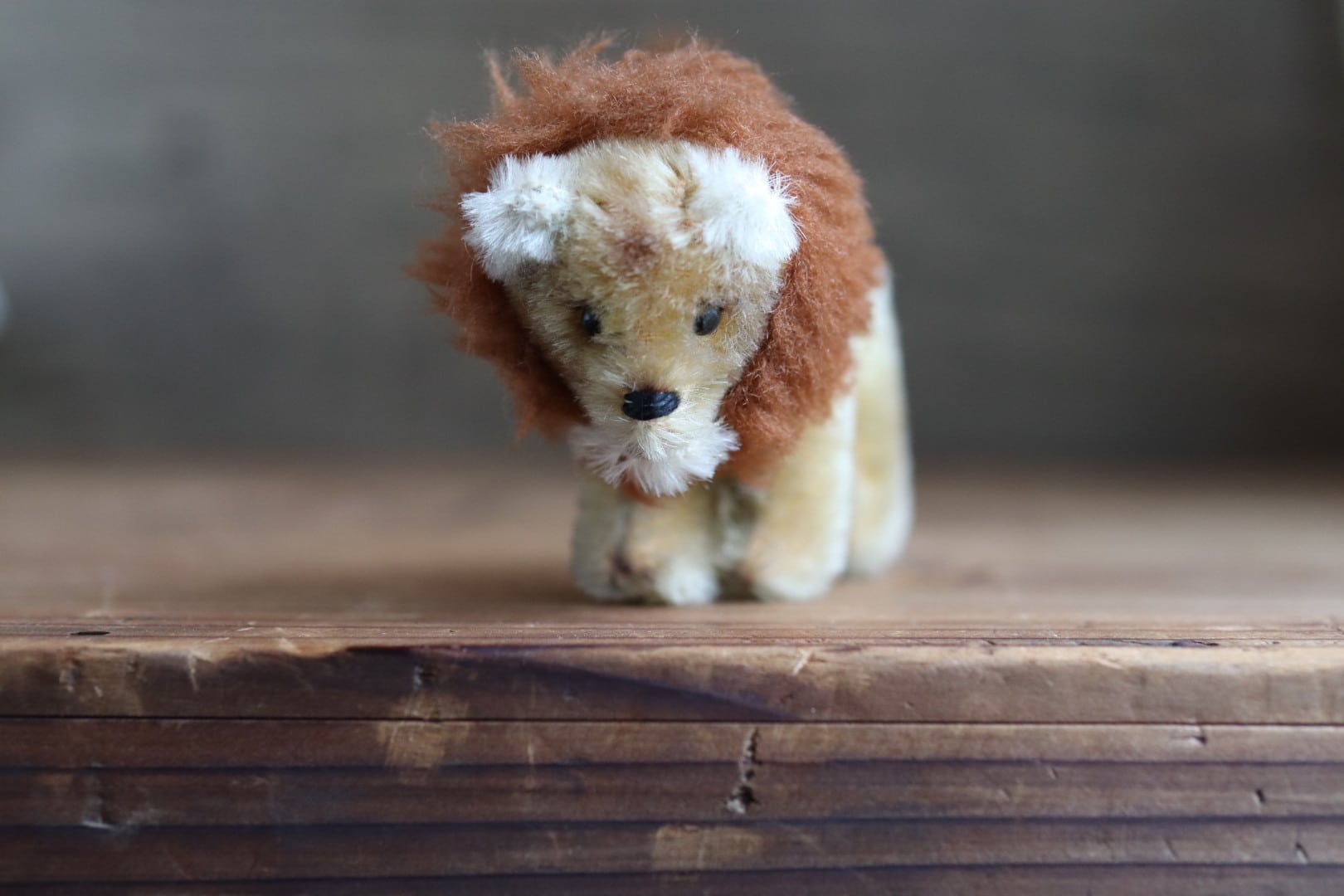 アンティークシュコ ライオン