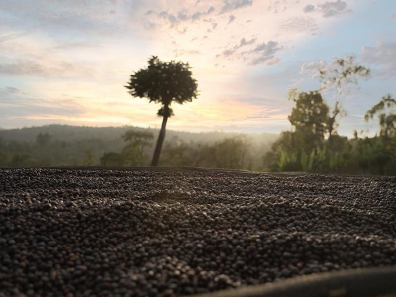 小豆さん専用 菜ごころPLUS 北海道産小豆160g｜商品をさがす｜ヤマサン食品工業株式会社