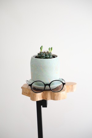 【S】マミラミア /Mammillaria　※陶器鉢付き