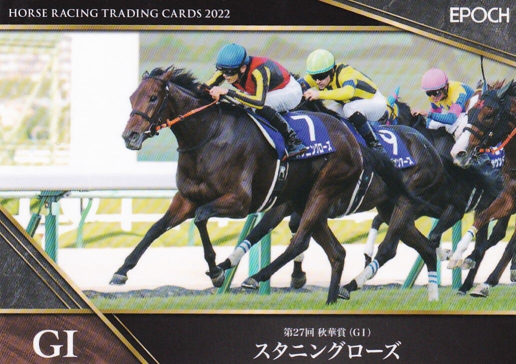 秋華賞 スタニングローズ B1ポスター 秋華賞 スタニングローズ B1ポスター 秋華賞 スタニングローズ B1